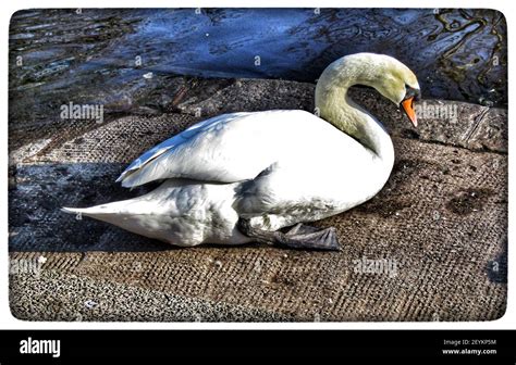 Southport,uk Tourists attractions in Southport Stock Photo - Alamy