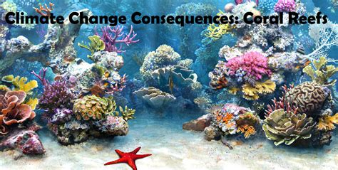 Climate Change Consequences: Coral Reefs: Tropical Storms, Climate ...