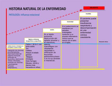 Historia Natural De La Enfermedad Influenza Estacional TALLER DE