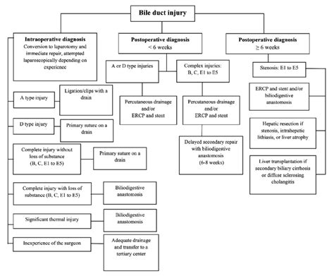 Treatment Algorithm In Case Of Bile Duct Injury According To Strasberg