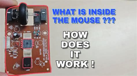 Computer Mouse Open What Is Inside The Mouse How Does It Work