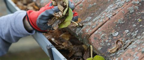 Dakgoot Schoonmaken In De Herfst 10 Tips Voor Een Schone Goot