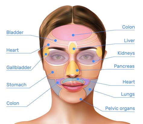 Mengenal Face Mapping Teknik Tradisional Tiongkok Yang Disebut Dapat