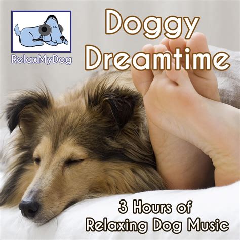 ‎3 Hours of Relaxing Dog Music - Doggy Dreamtime - Album by Relaxmydog ...