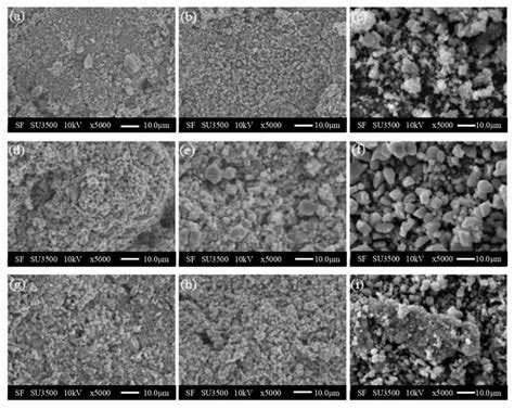 Surface Morphologies Of The Oxide Scales Formed On The Specimen After