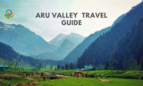 Aru Valley Travel Guide: A Picturesque Escape In Kashmir!