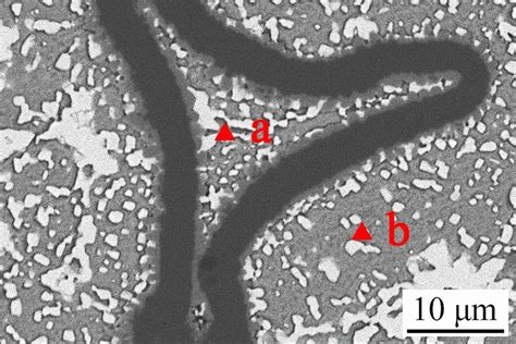 Microstructure Of The Snbi Ag P Cu Solder Bulk For Nanoindentation