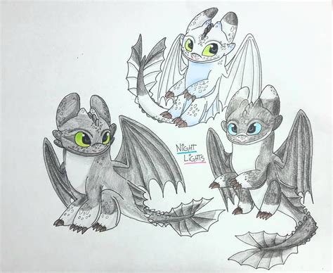 Night Lights Httyd3 Httyd Httydfanart Howtotrainyourdragon