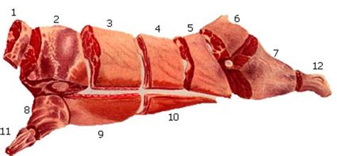 Butcher A Cow Diagram Everything You Need To Know When Shopp