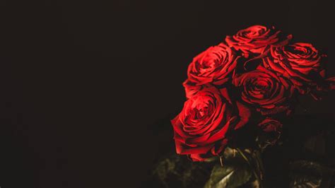 Beautiful Wallpapers For Desktop Of Roses