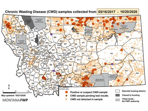 Chronic Wasting Disease Is Spreading Through Deer Herds Across Montana