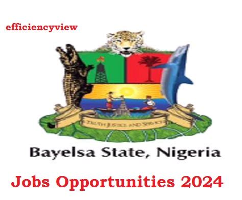 Apply For Bayelsa State Jobs Opportunities 2024