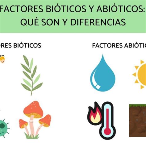 Factores Bi Ticos Y Abi Ticos Qu Son Y Diferencias Resumen