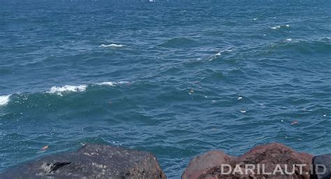 Jaga Kesehatan Laut Kkp Perketat Izin Pemanfaatan Ruang Laut Dari Laut