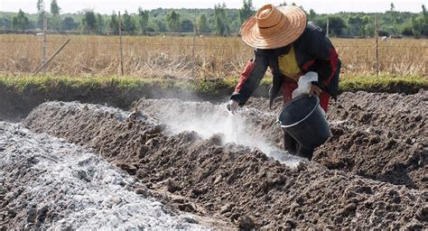 Calcário Agrícola para que serve Como aplicar e benefícios