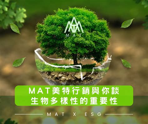 Esg企業永續經營｜mat美特行銷與你談論生物多樣性的重要性。 Hotname版｜popdaily 波波黛莉