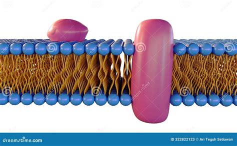 3d Rendering Of Lipid Monolayer On Archaea Membrane Stock Illustration