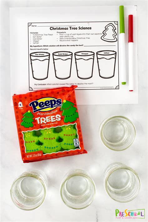 🎄 Christmas Tree Science Experiment Dissolving Peeps Activities