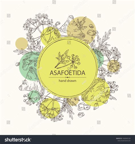 299 Asafoetida Stock Illustrations, Images & Vectors | Shutterstock