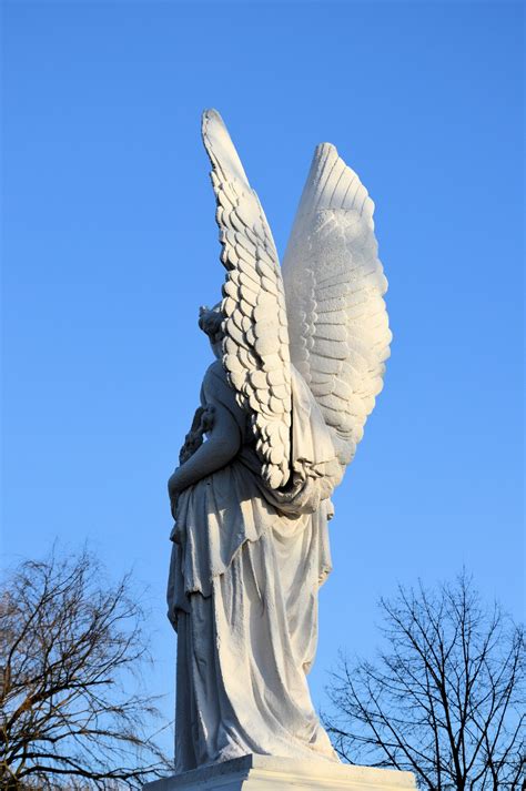 An Angel Free Stock Photo - Public Domain Pictures 