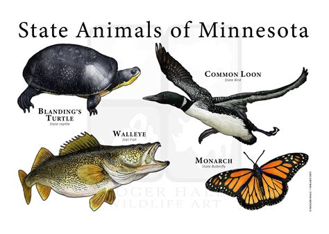 Minnesota State Animal 2024 - Crin Mersey