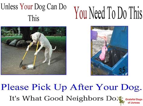 Pick Up After Your Dog