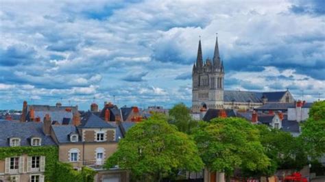 Pelouse synthétique à Maine et Loire Bello Extérieur