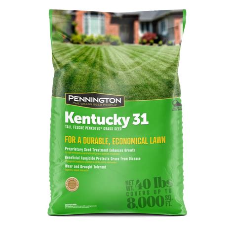 Pennington Kentucky Lbs Tall Fescue Penkoted Grass Seed