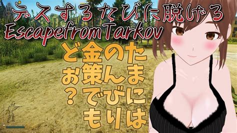 【タルコフ】たまにはのんびり金策でもどぉ？ デスするたびに脱げるタルコフ【 Escapefromtarkov】【vtuber】＃デスするたびに