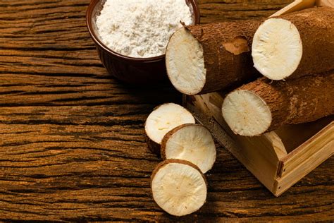 Arrowroot Health Benefits Uses And More Healthifyme