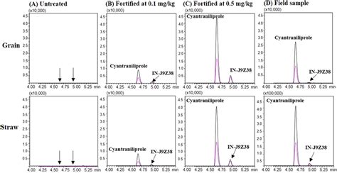 Representative UHPLC MS MS Chromatograms Of Untreated A Recovery