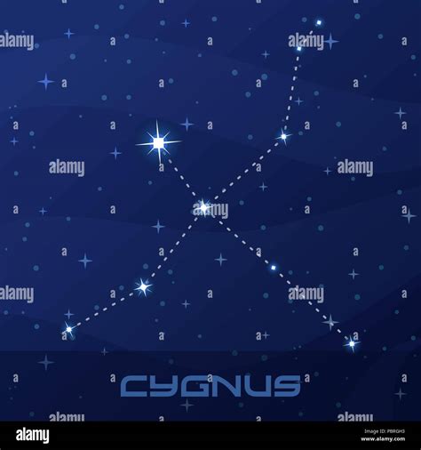 Constellation Of Cygnus The Swan Stock Vector Images Alamy