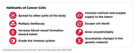 Executive Summary Aacr Cancer Progress Report