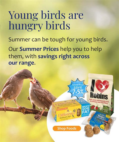 Bird Feeders, Foods & Nest Boxes | Living With Birds