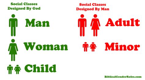 Biblical Human Rights Biblical Gender Roles