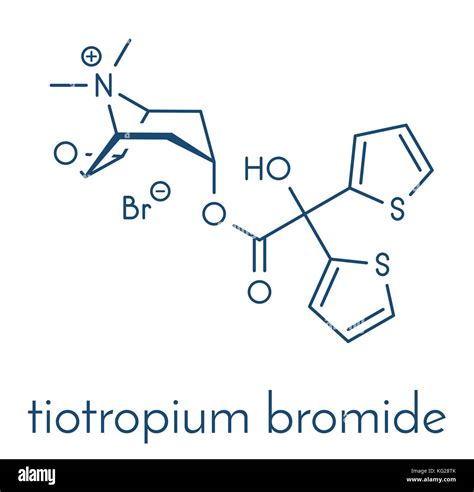 Tiotropium Bromide Chronic Obstructive Pulmonary Disease Copd Drug