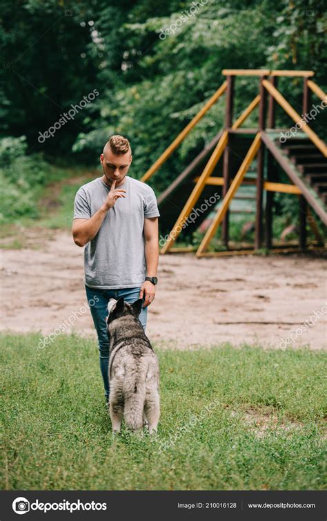 Young Cynologist Training Obedience Husky Dog Park — Free Stock Photo ...
