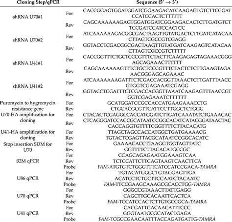 Oligonucleotide Sequences Used In This Study Download Table