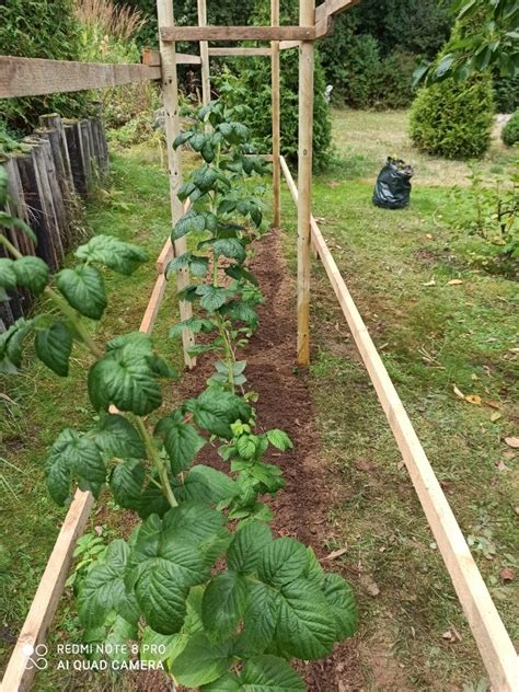 Rankhilfe für Himbeeren Bauanleitung zum Selberbauen 1 2 do