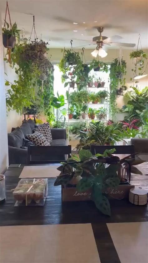 Indoor plants decor | Interior garden, Plant decor indoor, Plants