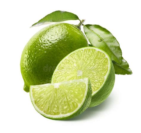 Whole lime, half and quarter slice isolated on white. Background as ...