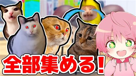 秘密のバグ技を使って『猫ミーム』を全種類見つけるロブロックス！🐱 ️【 Roblox 】 Youtube