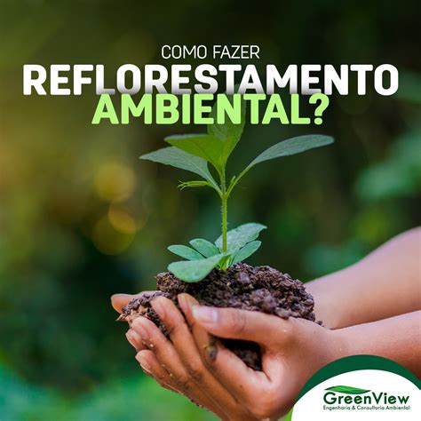 Vantagens E Desvantagens Do Reflorestamento - Qual A Importancia Do Reflorestamento - RETOEDU
