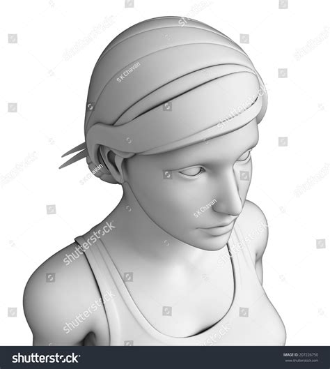 Illustration Female Head Anatomy Artwork Stock Illustration 207226750 | Shutterstock