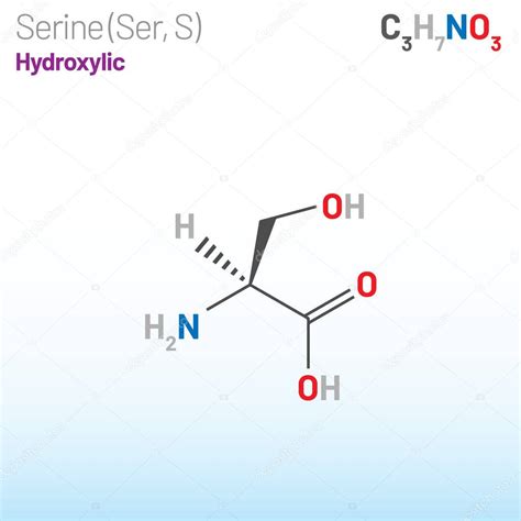 Serine Ser S Amino Acid Molecule Chemical Formula C3h7no3 It Is