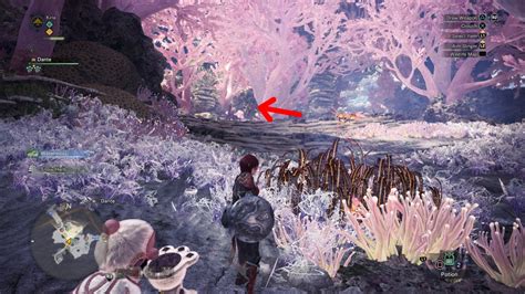 All Coral Highlands Camp Locations in Monster Hunter World | The Nerd Stash