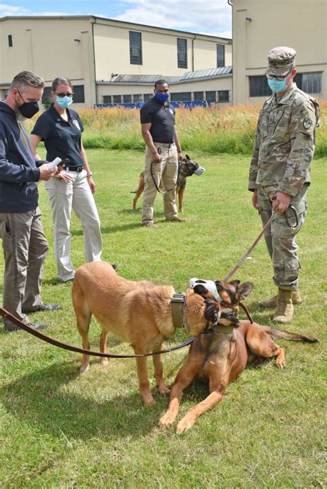 Soldiers Learn To Read Their Dogs Article The United States Army