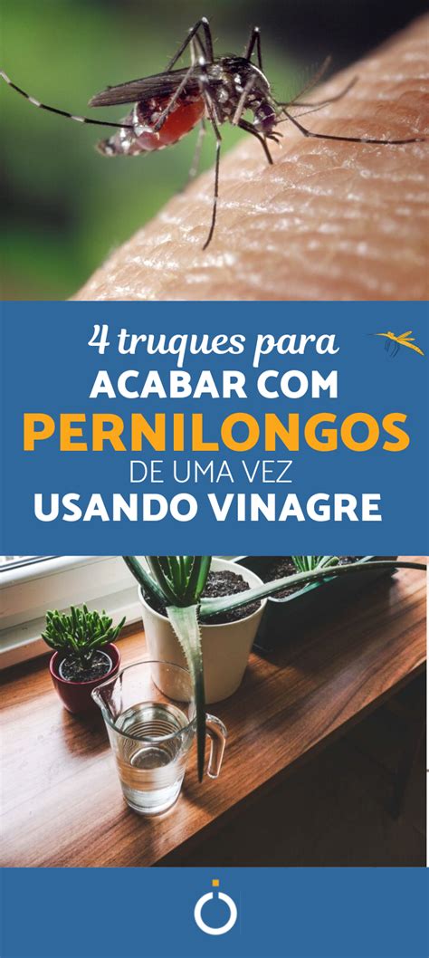 Como Espantar Pernilongos Vinagre Truques Muito Simples Como