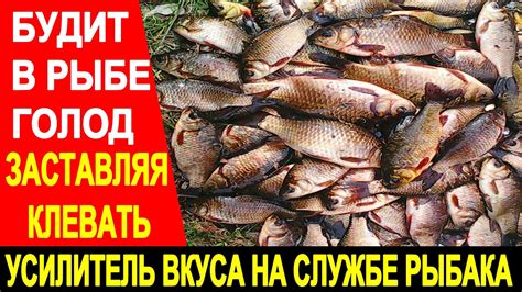 УСИЛИТЕЛЬ ВКУСА РАЗБУДИТ В РЫБЕ ГОЛОД И ЗАСТАВИТ КЛЕВАТЬ РЫБУ НА УДОЧКУ ...