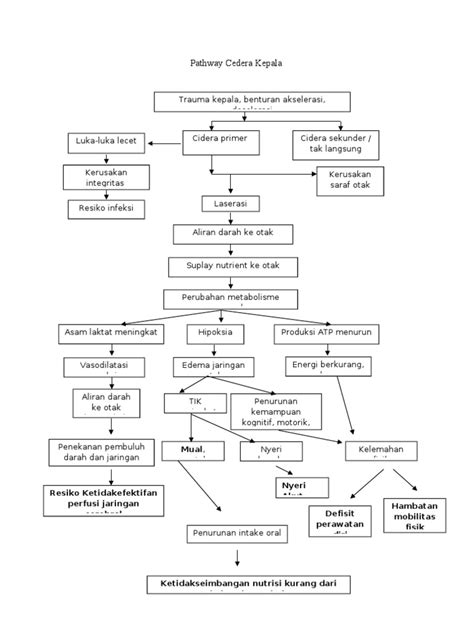 Pathway Cedera Kepala